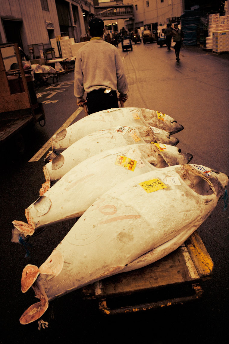 Martin Richardson Photography - Travel - Japan